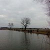 9. rybářské závody v Dymokurech
